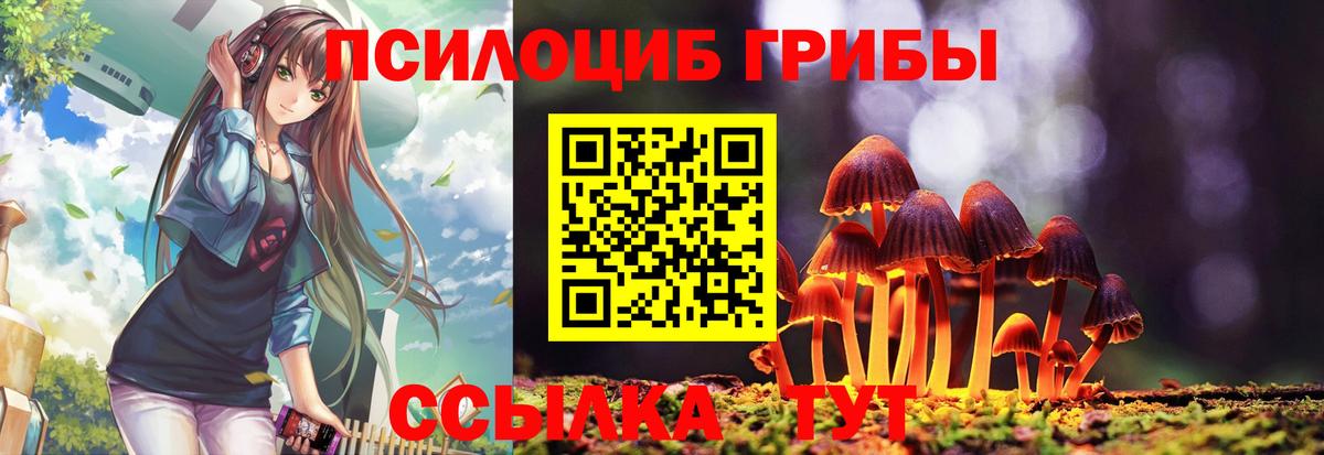 Киров  Псилоцибиновые грибы Psilocybe  Вход с VPN  Галлюциногенные грибы Psilocybe 