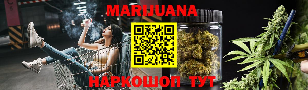 Каннабис сатива Киров